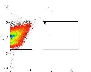 Bacteria Unstained Control