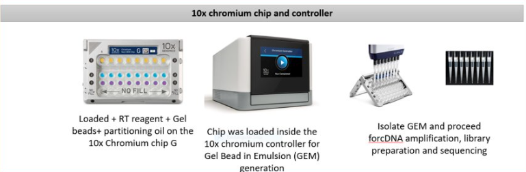 Diagram illustrating the 10x chromium chip and controller setup for Gel Bead in Emulsion (GEM) processing.