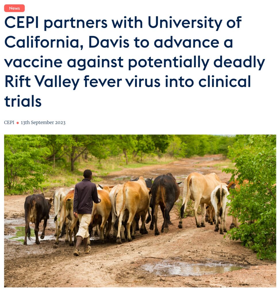 CEPI collaborates with UC Davis to develop a vaccine for the Rift Valley fever virus.