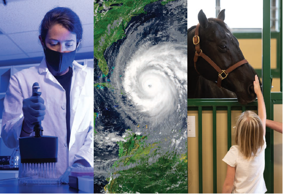 A picture of a researcheusing a pipette, a picture of a hurricane moving over land and sea, and a picture of a horse in a stable stall being pet by a child arranged side by side