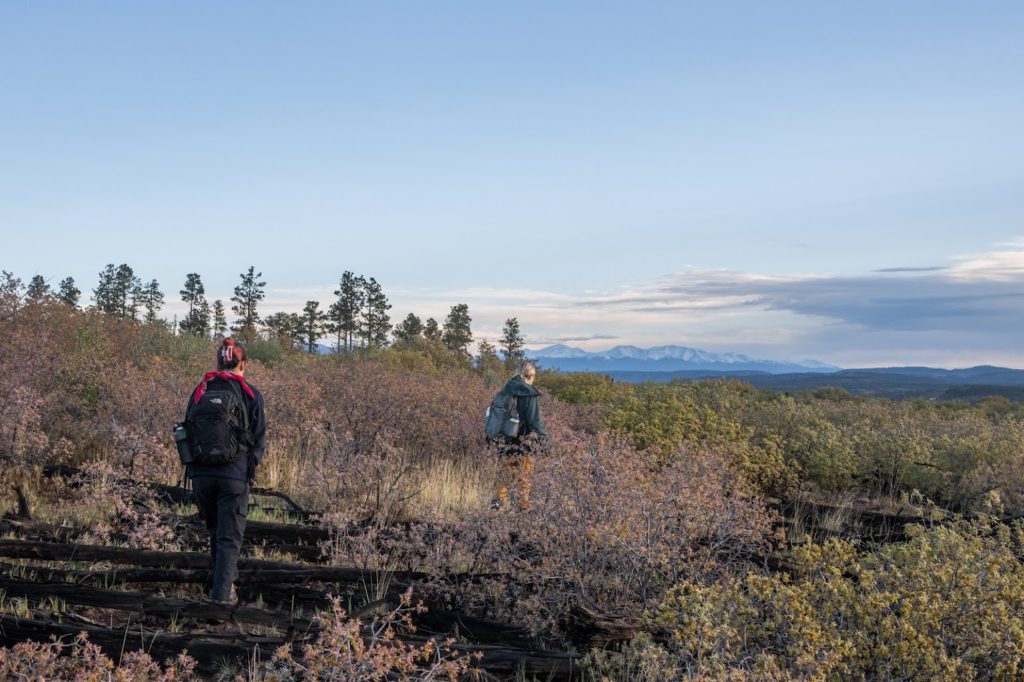 Two hikers walking through a scenic landscape with distant mountains under a clear sky.